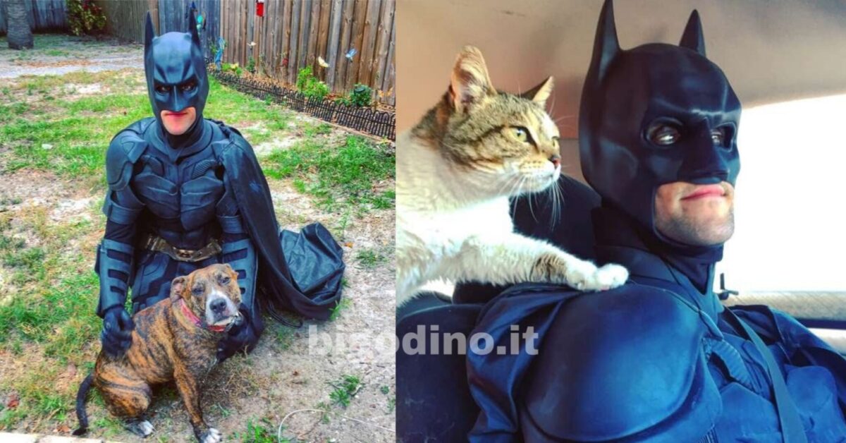 Travestito da Batman va alla ricerca di cani e gatti da salvare