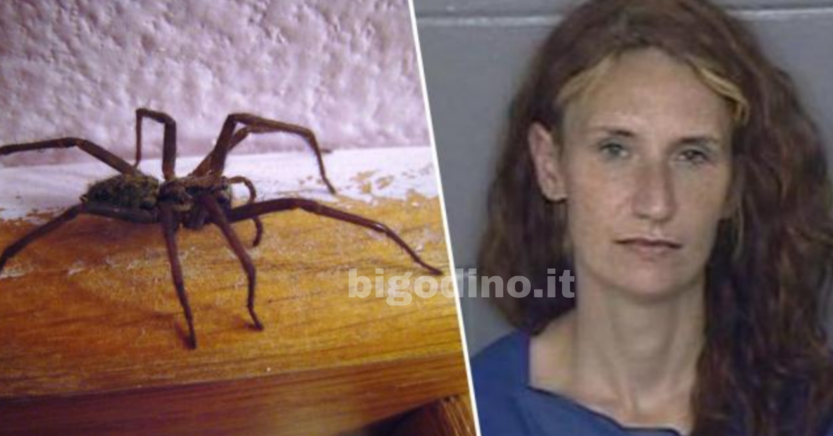 Donna incendia la sua casa dopo aver trovato un ragno dentro