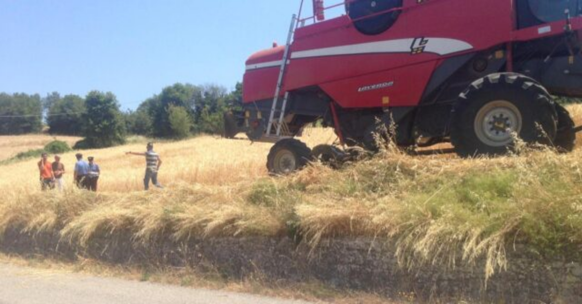 Roberto perde la vita schiacciato da un mezzo agricolo, guidato da suo padre