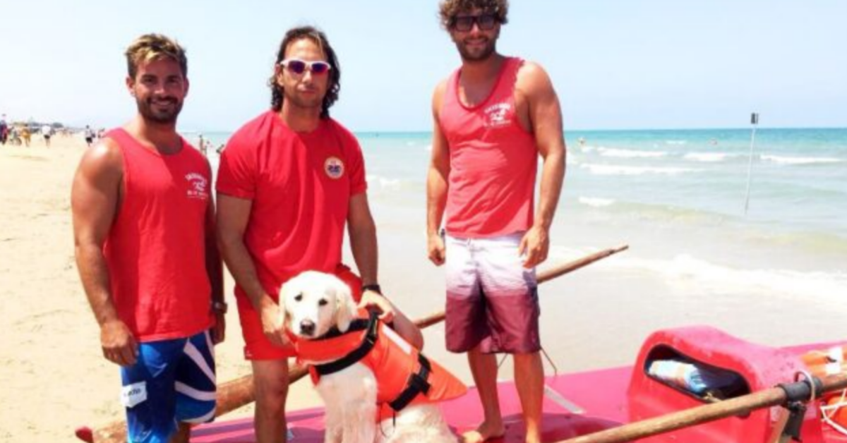 Rodi Garganico, bambino di nove anni si capovolge con la barca a vela. Salvato da un cane di salvataggio