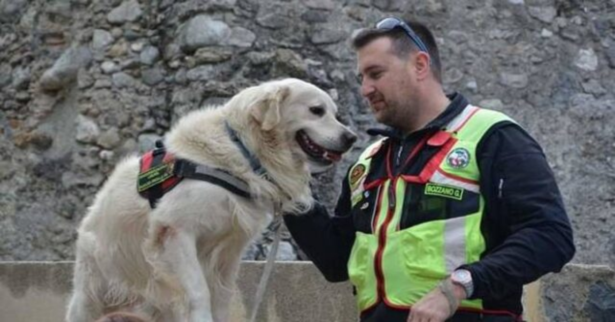 Si è spento Scott, il cane eroe che ha salvato molte vite ad Amatrice.