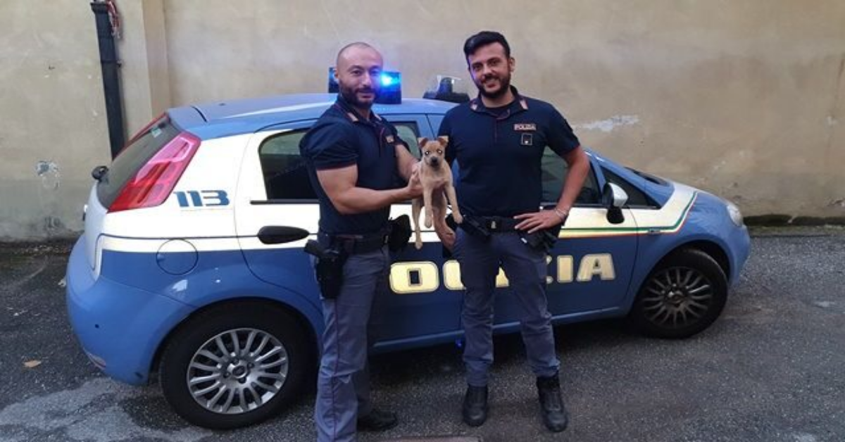 Torino, cagnolino salvato dagli agenti della polizia