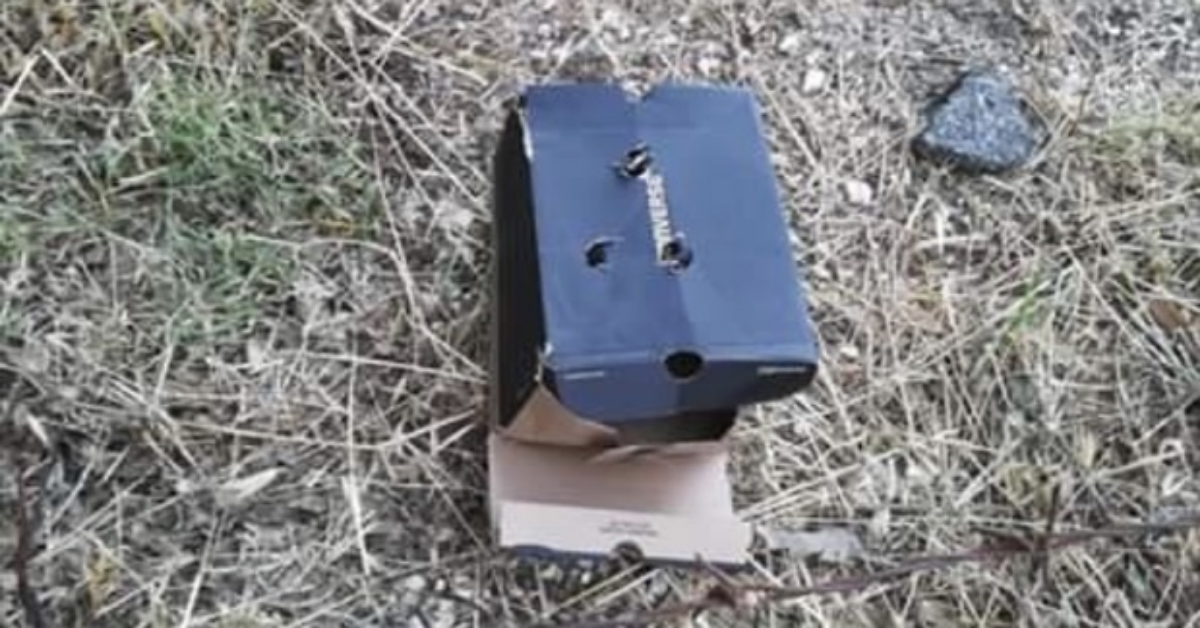 Gettati nel bosco dentro una scatola, cagnolini sono andati incontro ad un triste destino