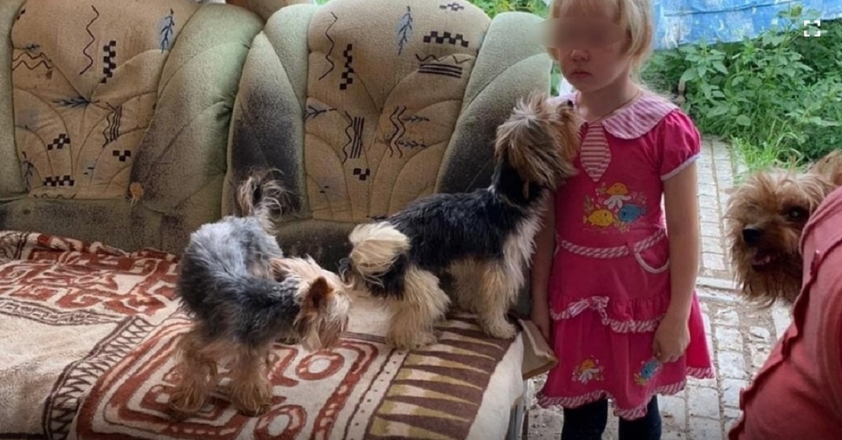Bambina di 6 anni salvata dalla polizia: viveva segregata con 25 cani