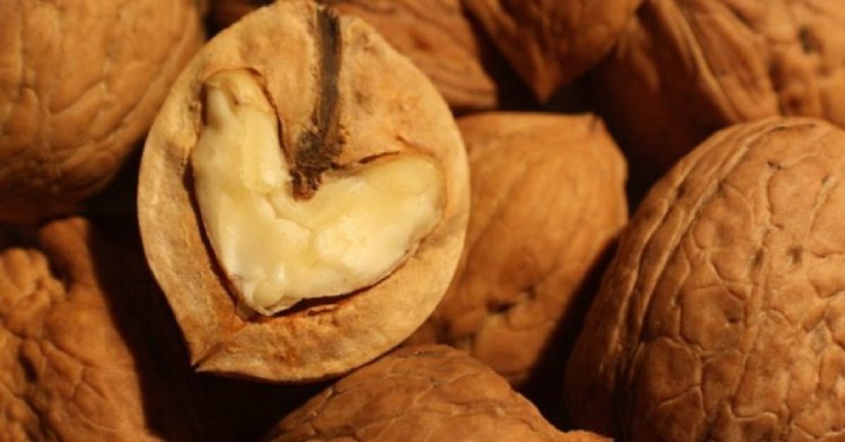 Mangia cinque noci