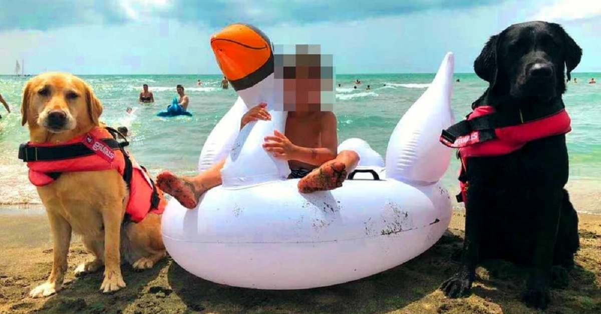 Tarquinia: bimbo rischia di annegare, salvato dai cani Wendy e Kobe