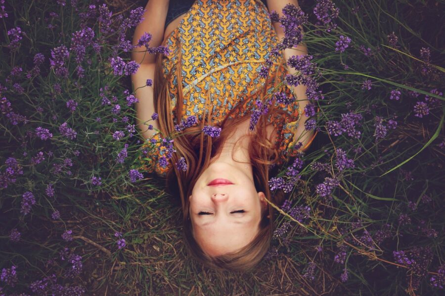 campi di lavanda