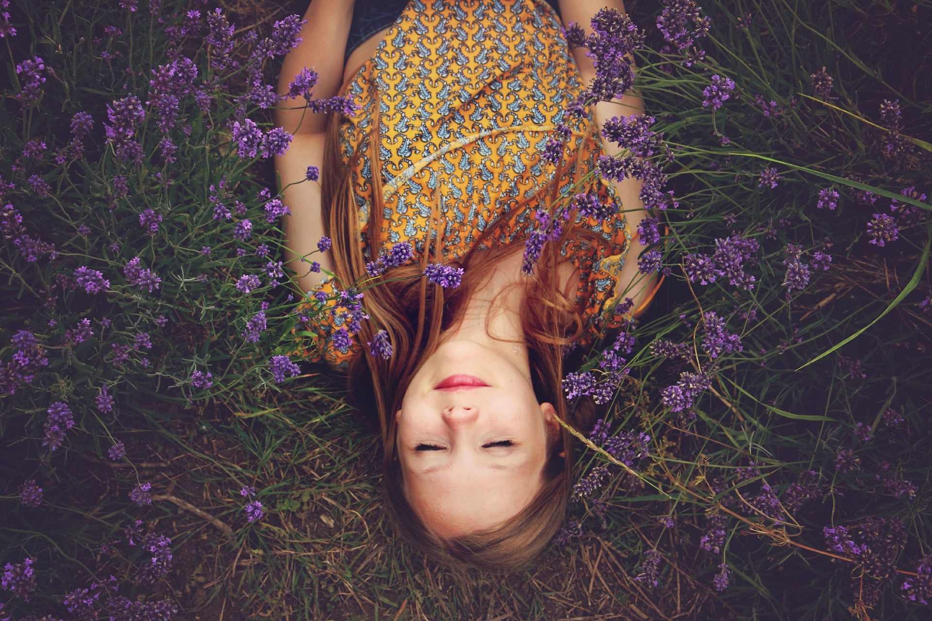 Vacanze in Inghilterra, i campi di lavanda più belli