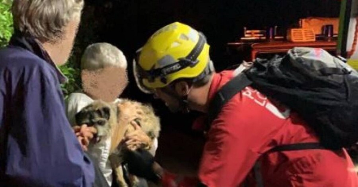 Cane finisce nel burrone a Locarno