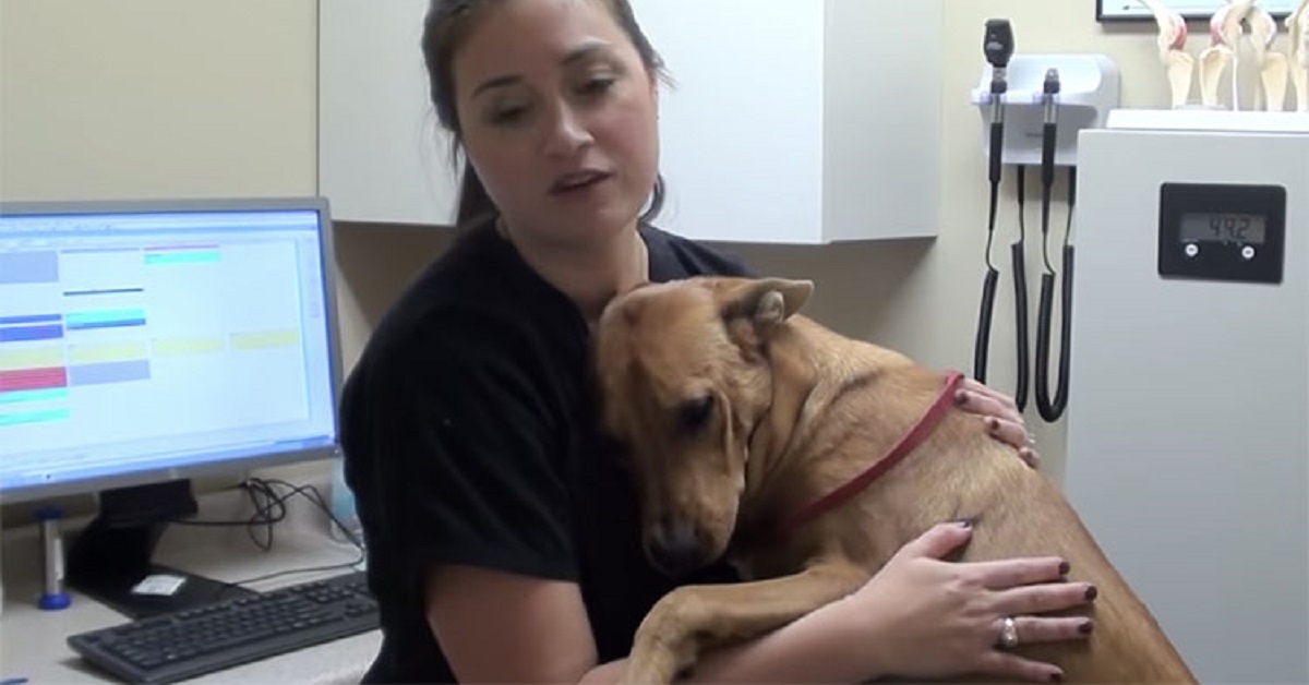 Cane salvato a 5 minuti dall’essere sacrificato ringrazia i suoi soccorritori