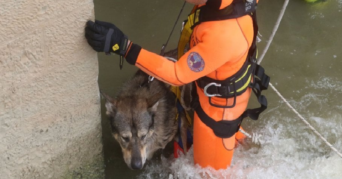 FIRENZE-Ciro scivola in acqua e rischia la vita