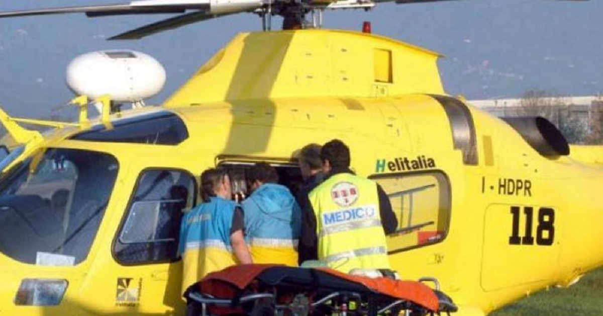 Veroli, bimbo 3 anni azzannato da cane da pastore maremmano