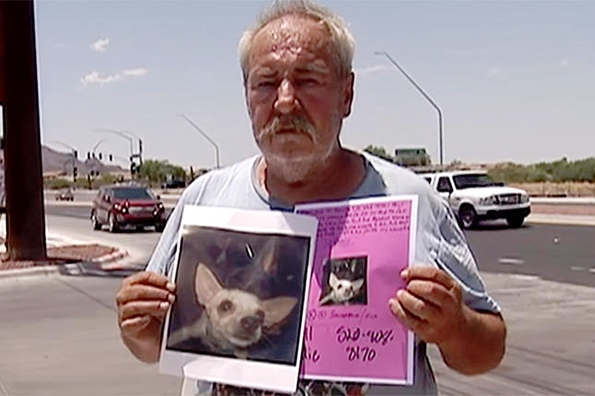 Offre una casa a chiunque lo aiuti a trovare il suo cane smarrito