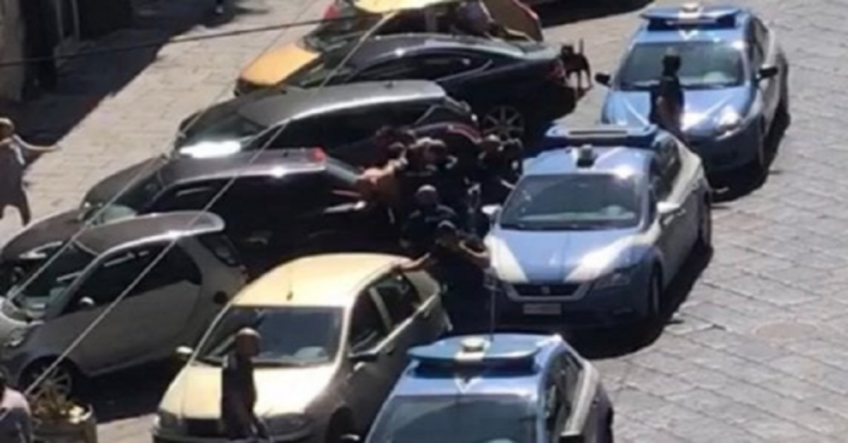 Sparatoria a Napoli e morte del pitbull del pregiudicato