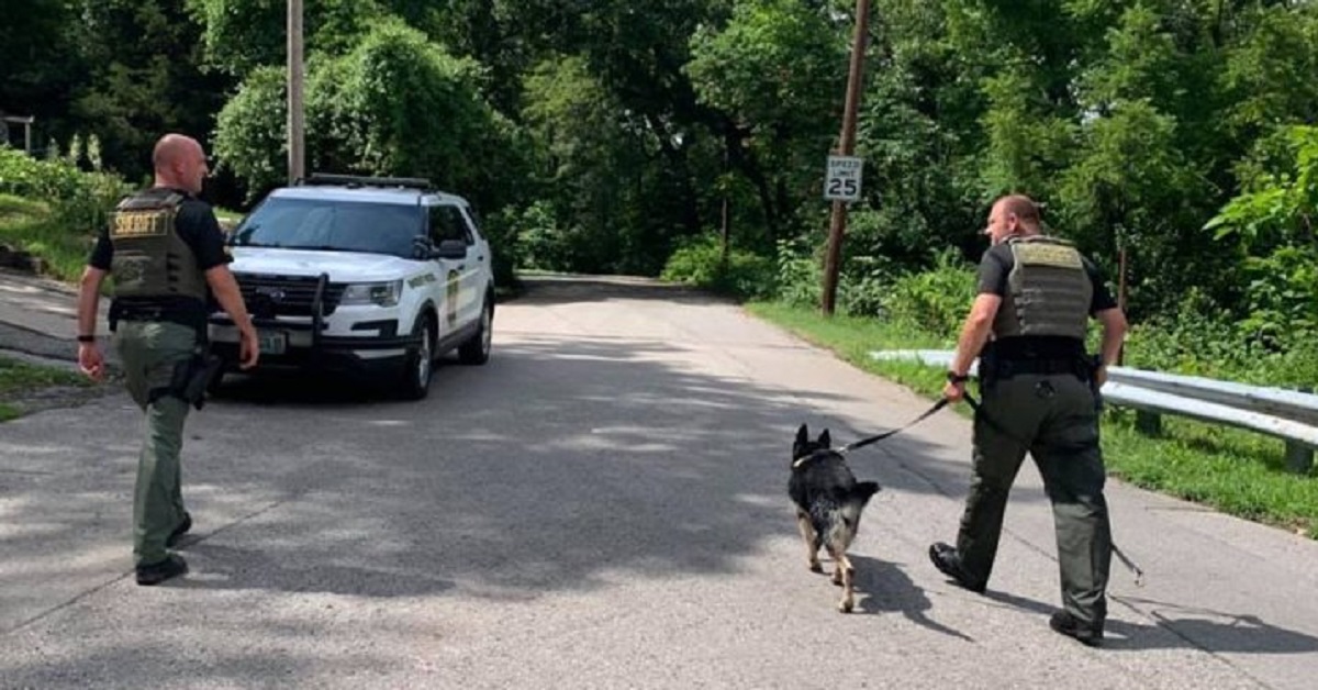 Il cane poliziotto rovina la giornata a un malvivente