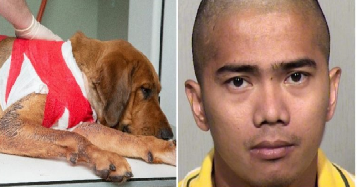 Punisce il suo cane per aver inseguito il suo vicino