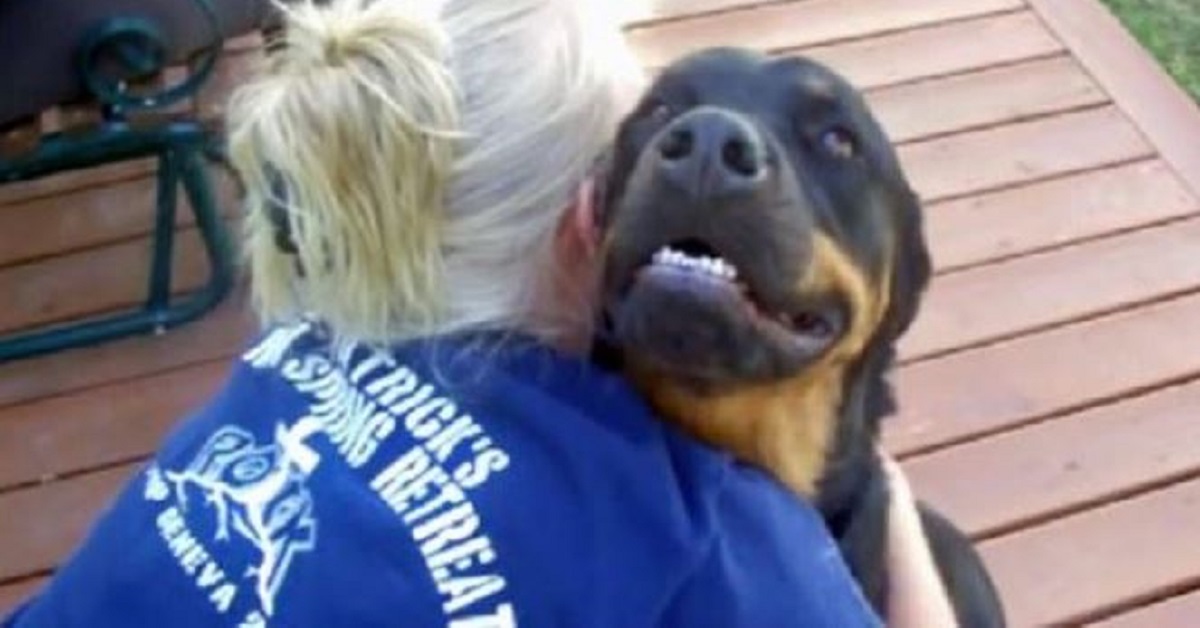 Abbraccia il suo rottweiler gigante e strani rumori escono dal cane