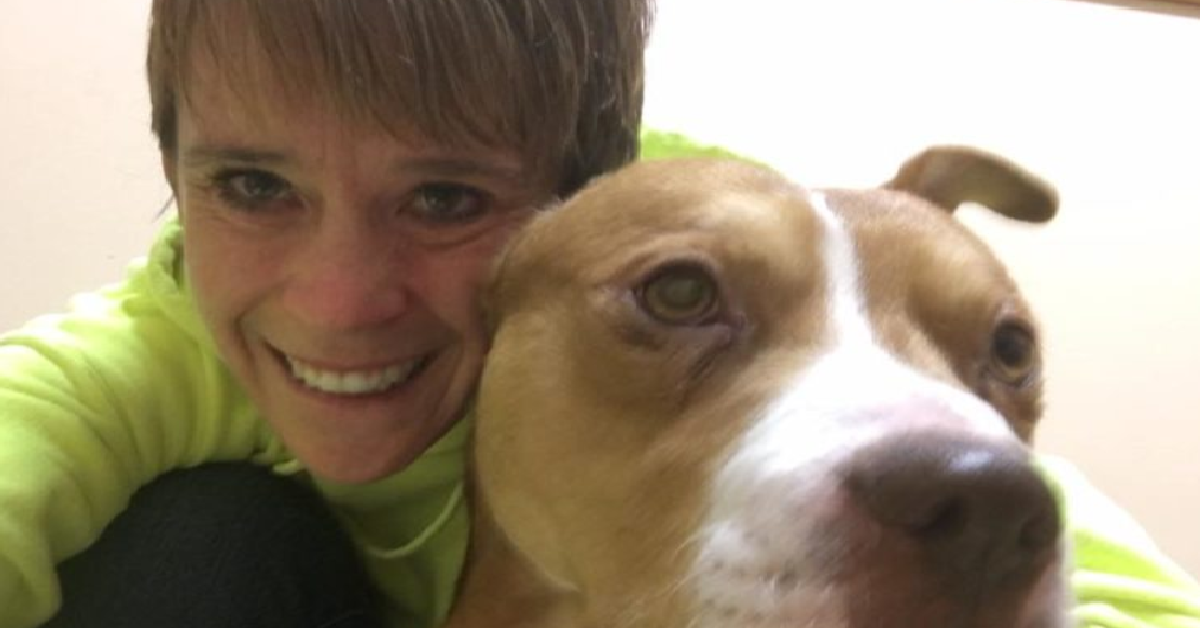 Spezzano il cuore del loro cane per cercare la felicità altrove