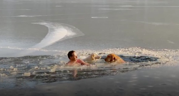 il-gesto-eroico-dell'uomo-per-salvare-i-due-cani-nel-lago-ghiacciato