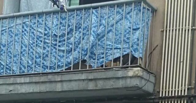 i-due-cani-costretti-a-vivere-su-un-balcone