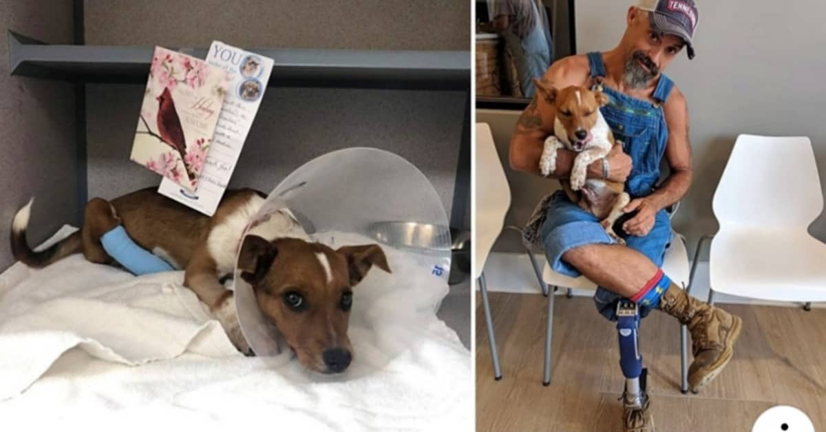 Il reale motivo dietro l’amicizia tra Fergusson e il cane Scooter