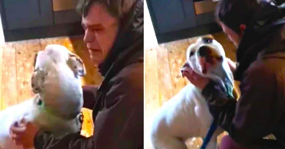 La commovente riunione tra la cagnolina Crystal e Lee