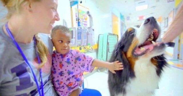 i-benefici-dei-cani-da-terapia-nell'ospedale-pediatrico