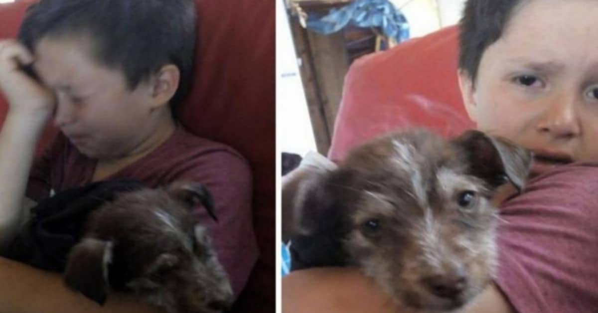 Il gesto eroico del piccolo Nicolas, per il cagnolino in pericolo