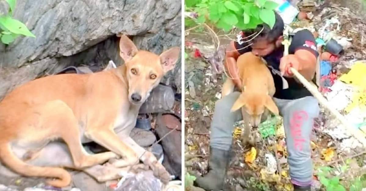 Il salvataggio speciale della piccola Lena