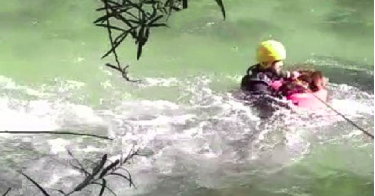 La storia del cane caduto nel fiume