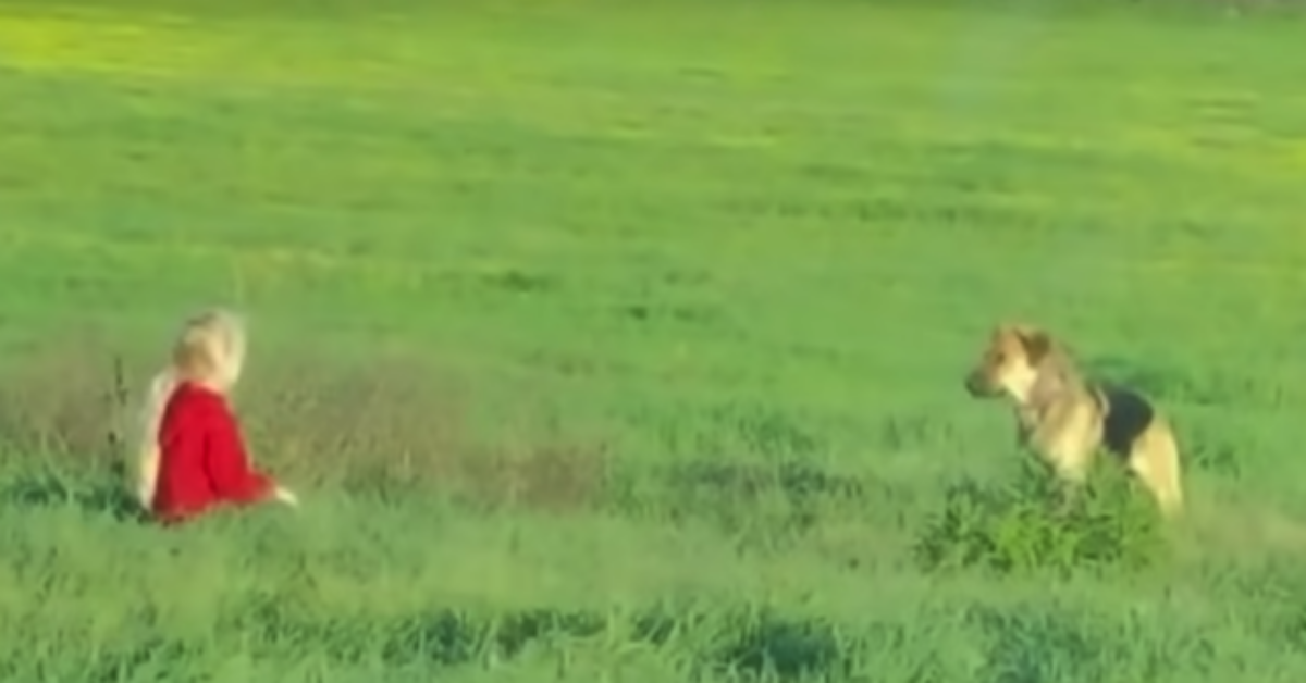 Quando la bambina è diventata più piccola di lei, Daisy si è fidata…