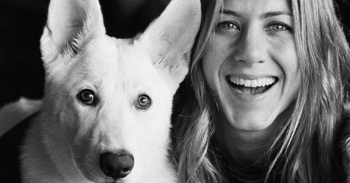 Dolly, il cane di Jennifer Aniston si è spento dopo 14 anni d’amore.