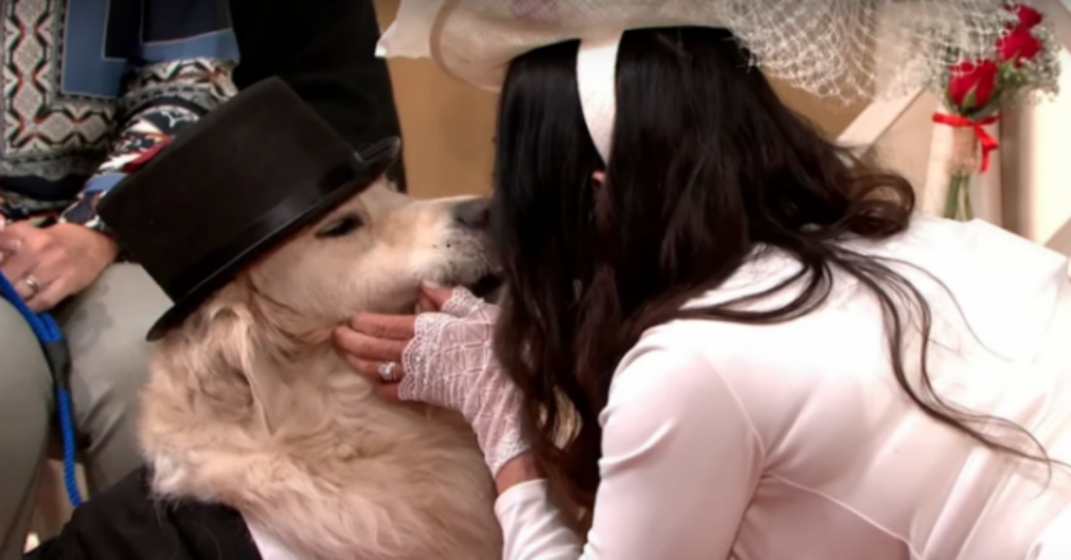 L’ex modella Elizabeth Hoad sposa il suo cane