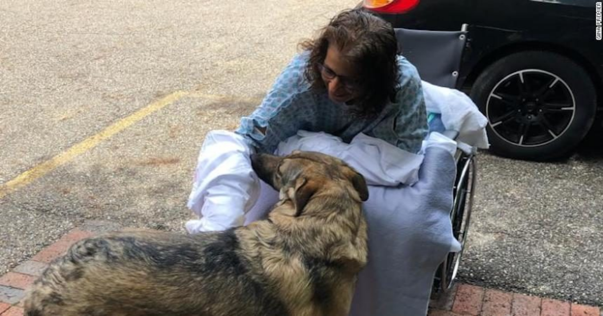 Donna finisce in ospedale con una grave infezione, dopo che il suo cane le lecca una ferita aperta