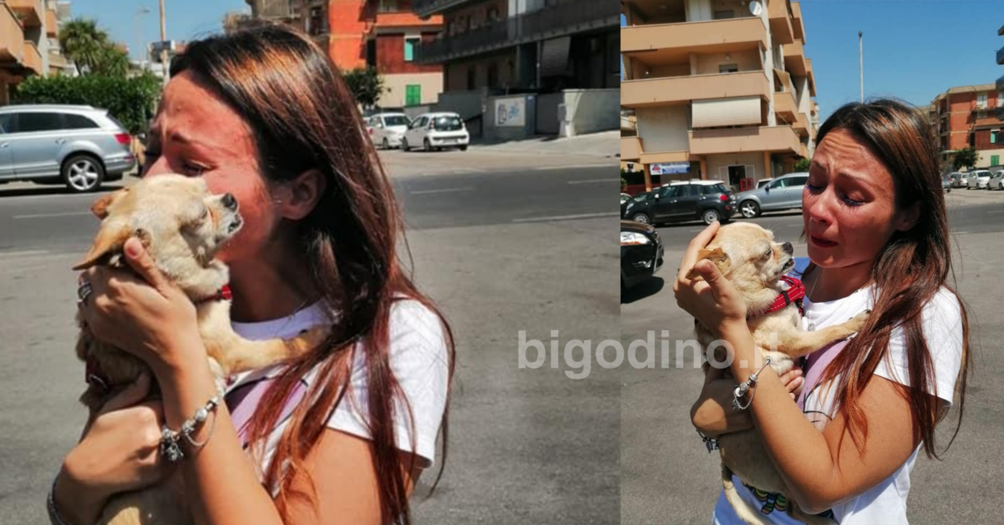 Latina, ritrova la cagnolina smarrita otto anni fa