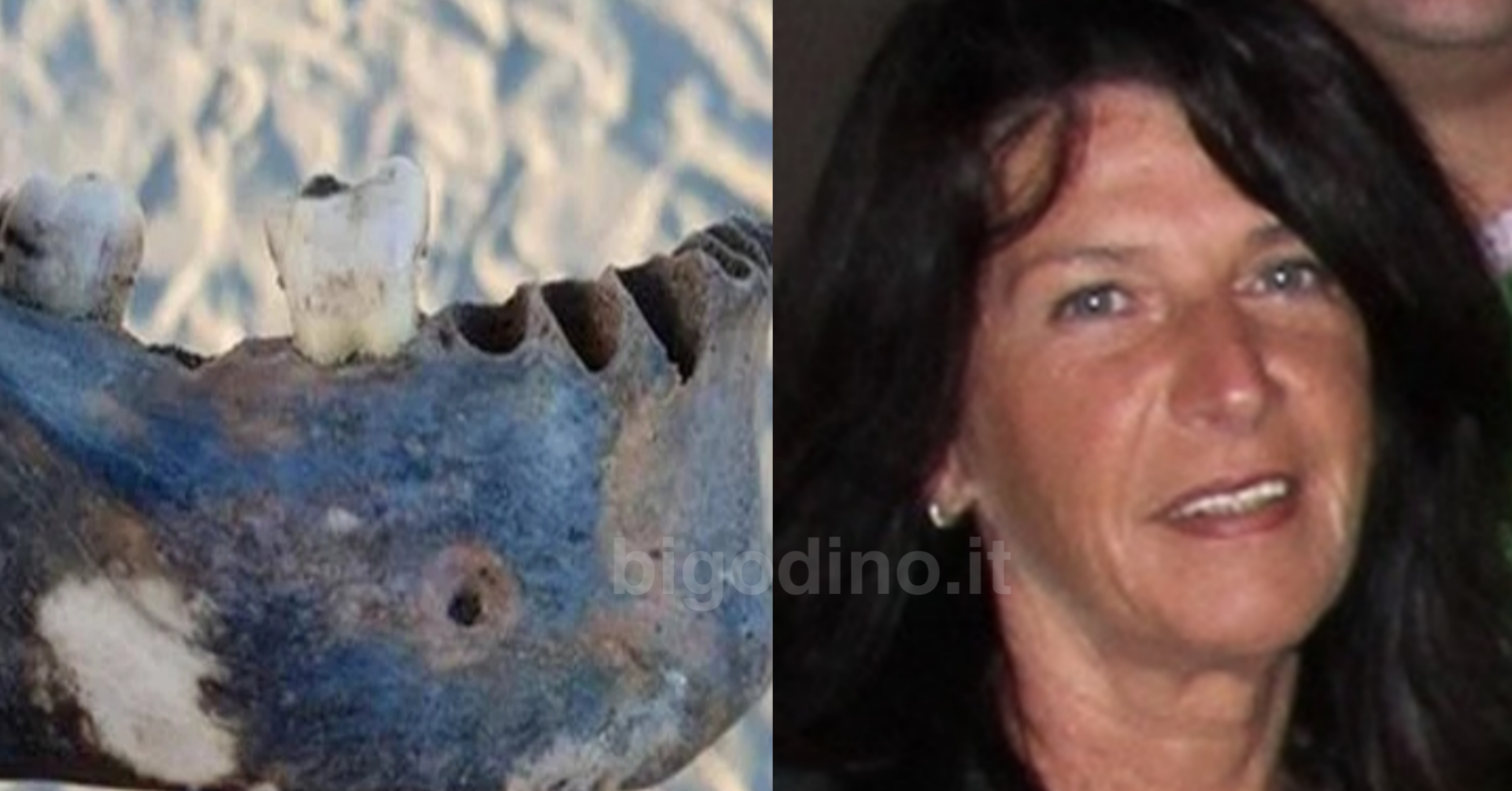 Delitto Isabella Noventa, trovate ossa ad Albarella