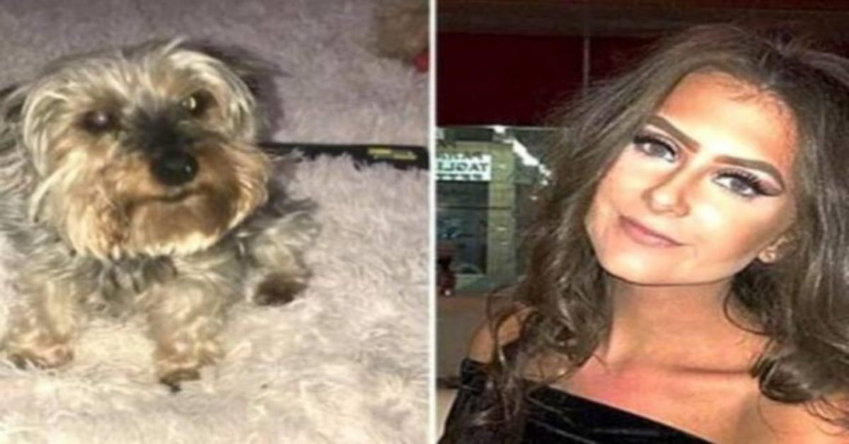 Viene licenziata per aver chiesto un giorno al lavoro, per la morte del suo cane