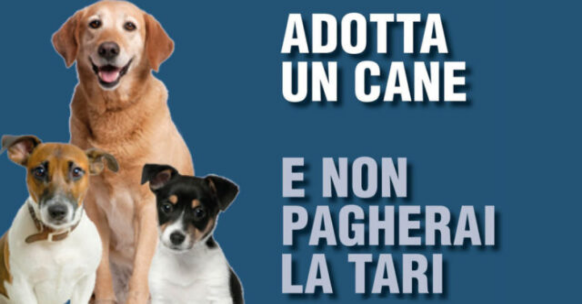 Sconti sulla Tari per chi adotta un cane