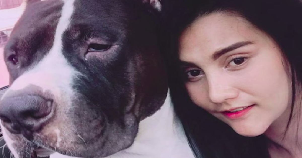 Bully, un cane che fa solo guai
