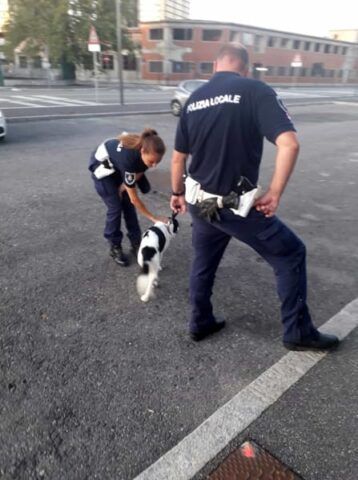 cane-salvato-polizia-locale
