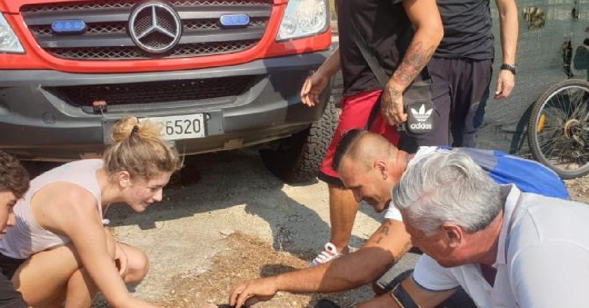Roma, cane rischia di perdere la vita nel canale dove era caduto