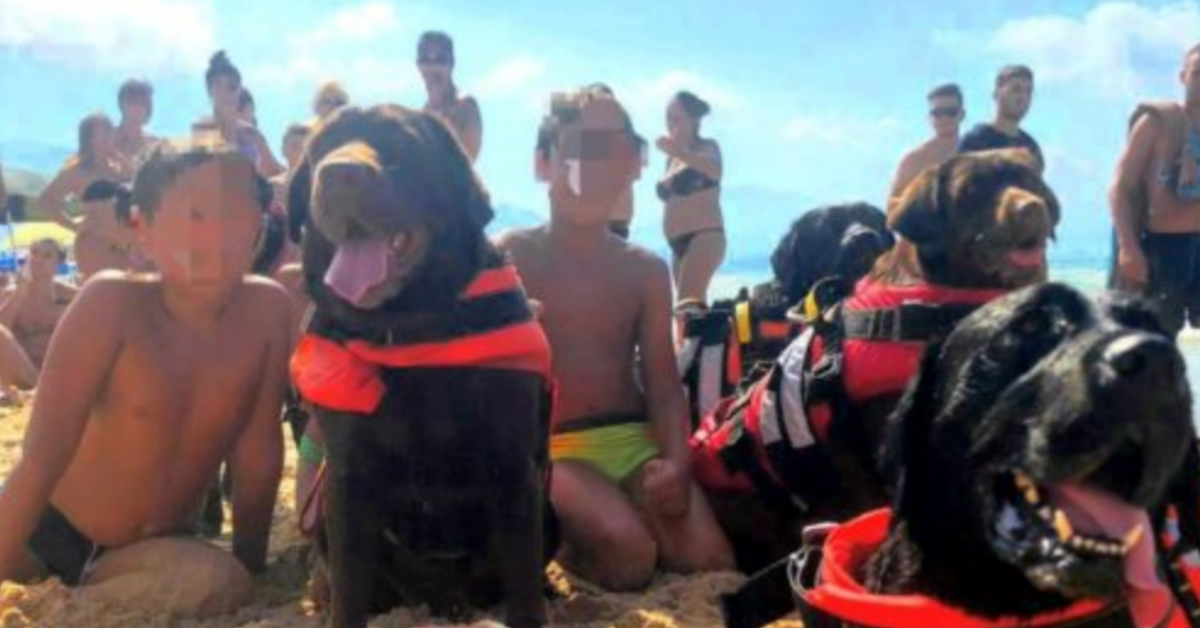 I meravigliosi salvataggi degli amici a quattro zampe sulla spiaggia di Alcamo Marina ed Ostia Ponente