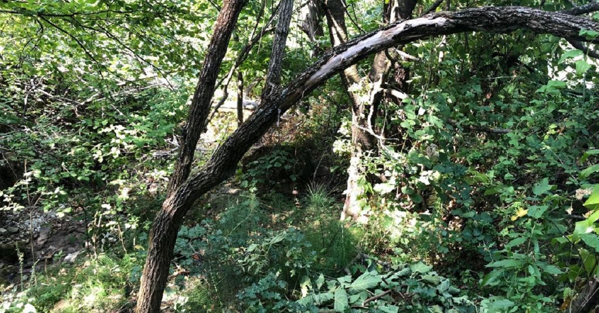 Coppia scomparsa a Piacenza, Massimo Sebastiani indagato per omicidio e occultamento di cadavere