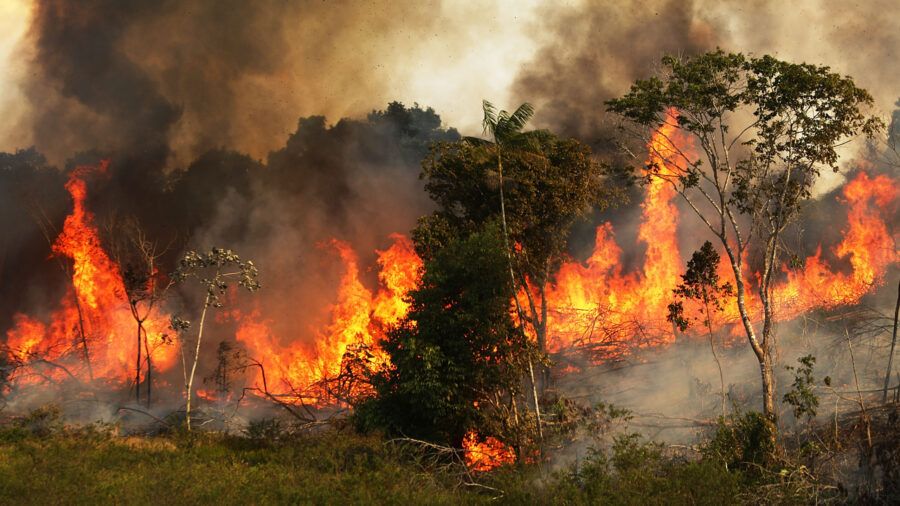 Incendi in Amazzonia