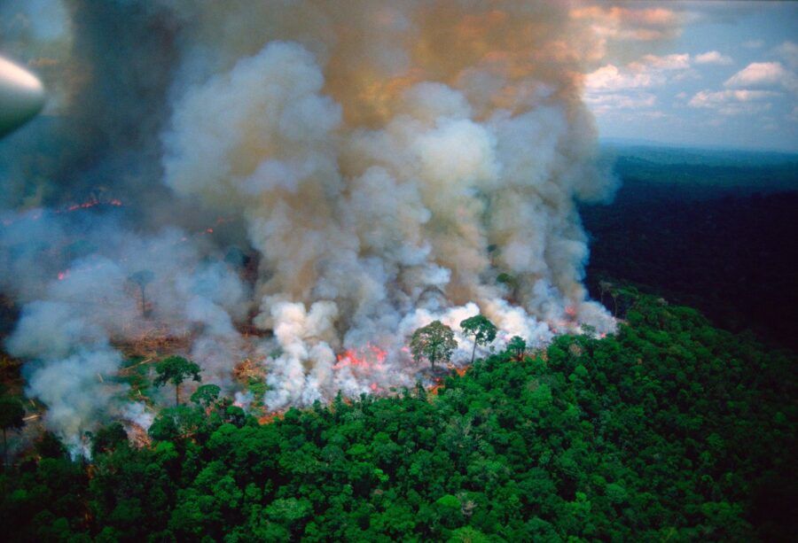 Incendi in Amazzonia