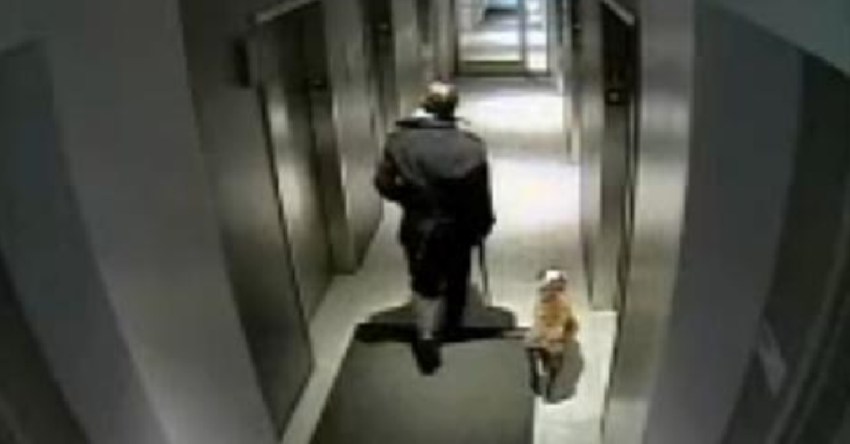 L’ascensore e il cane miracolato