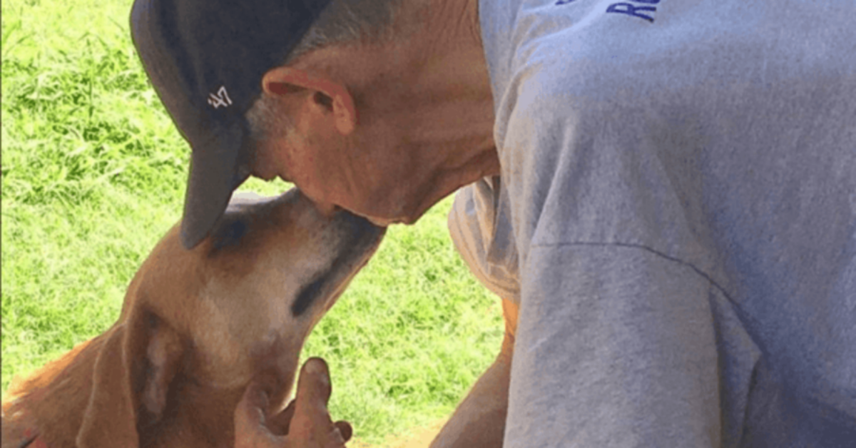 Uomo sta per morire e ha un ultimo desiderio per i 27 cani che ha salvato