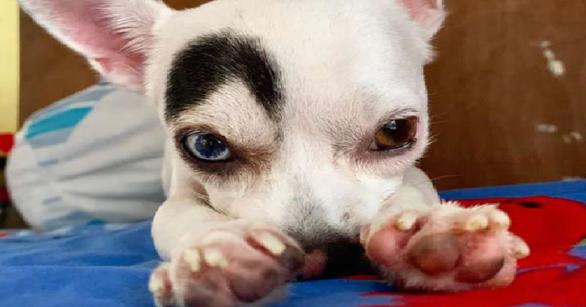 Charice e Lucky