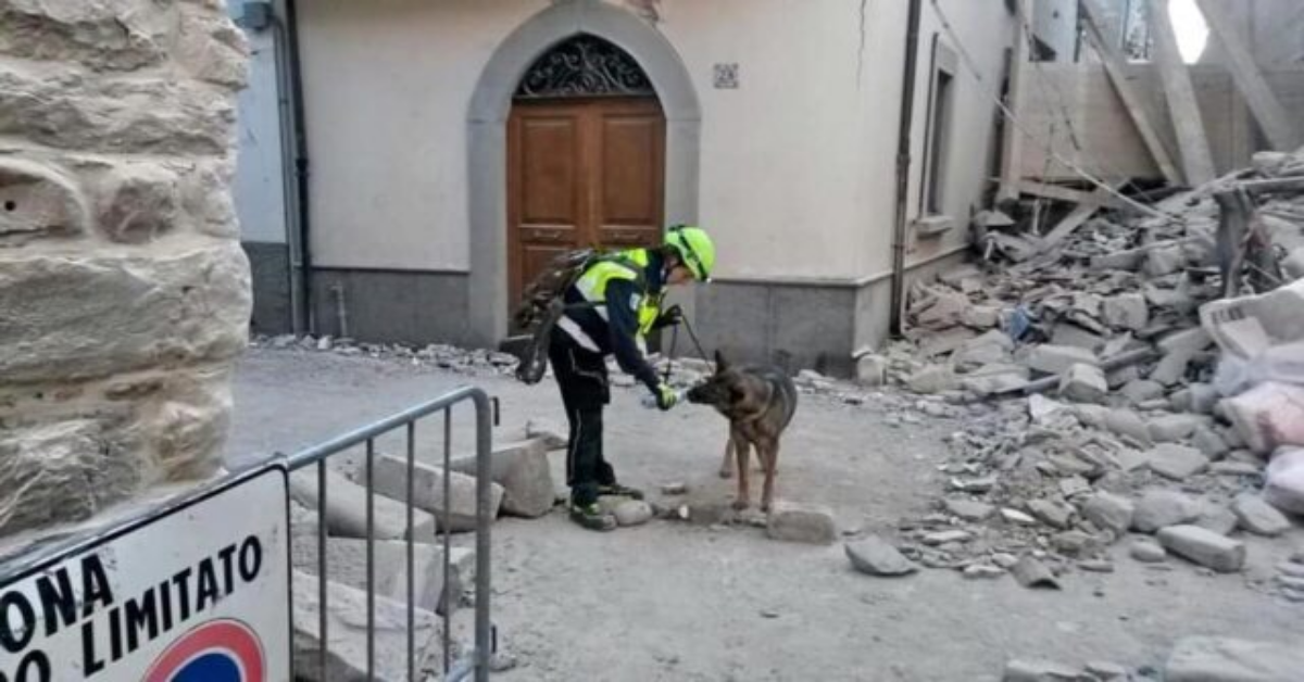 E’ morta Oxy, cane eroe del terremoto di Amatrice