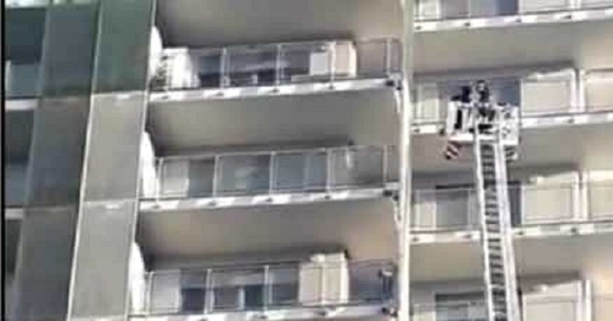 Milano, cane lasciato sul balcone a Ferragosto
